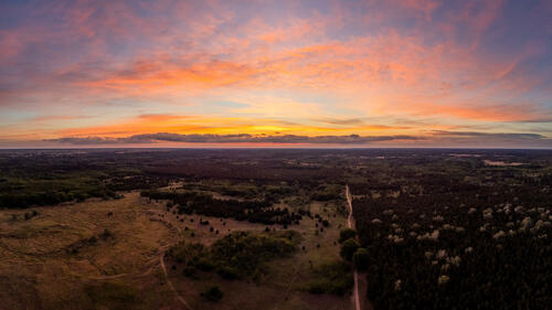 Forest sunset 2